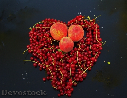 Devostock Red Currant Red Fruit
