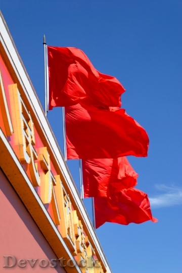 Devostock Red Flag Socialism Flagpole 5