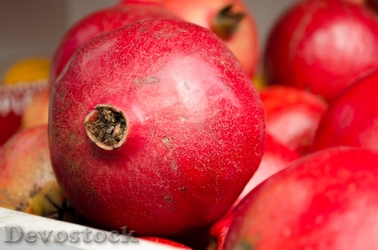 Devostock Red Fruit Pomegranate 675339