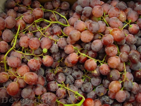 Devostock Red Globe Grapes
