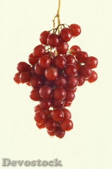 Devostock Red Grapes 1