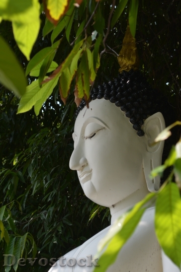 Devostock Religion Buddha Statue Asian