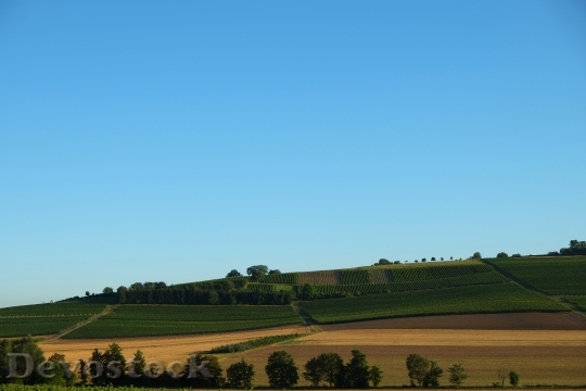 Devostock Rheinhessen Landscape Winegrowing 162069