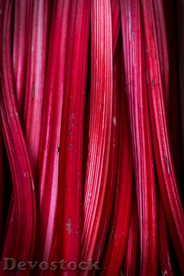 Devostock Rhubarb Fruit Pink Red
