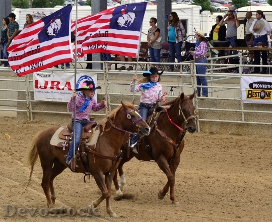 Devostock Rodeo Horses Flag Usa
