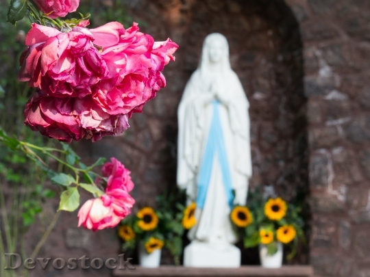 Devostock Rose Maria Madonna Mother