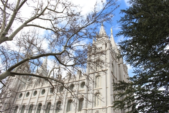 Devostock Salt Lake City Temple