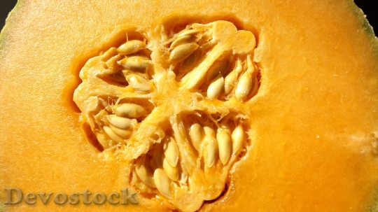 Devostock Seed Cantaloupe Fruit Power