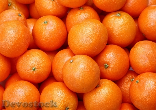 Devostock Set Citrus Fruits