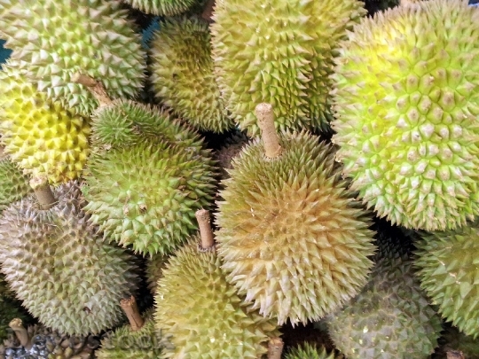 Devostock Singapore Durian Fruit Juicy