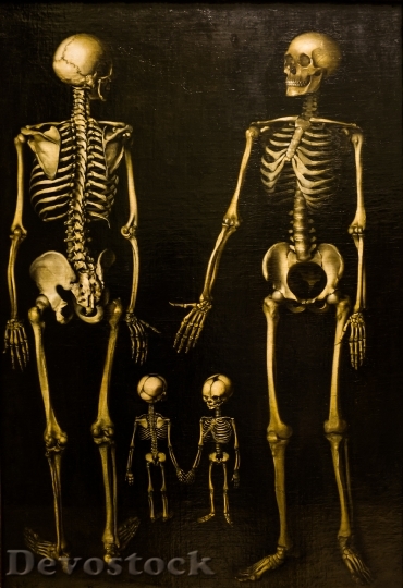Devostock Skeletons Family Box Painting