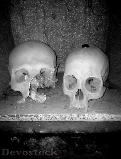Devostock Skull Death Naples Italy