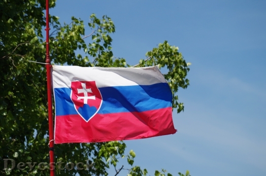 Devostock Slovakia Flag Pledge Winnow