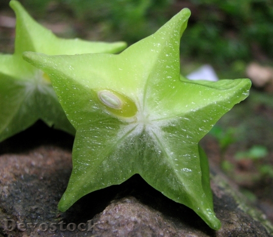 Devostock Star Fruit Averrhoa Carambola