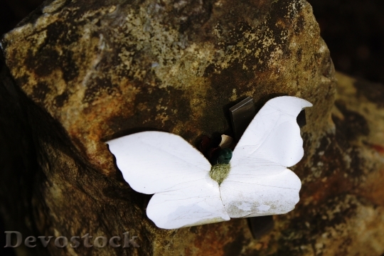 Devostock Stone Butterfly Tombstone Cross