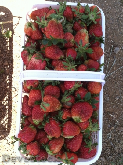 Devostock Strawberries Basket Fruit 1048609