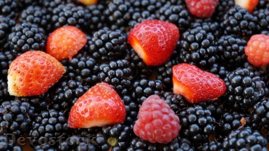 Devostock Strawberries Blackberries Fruits 1608458