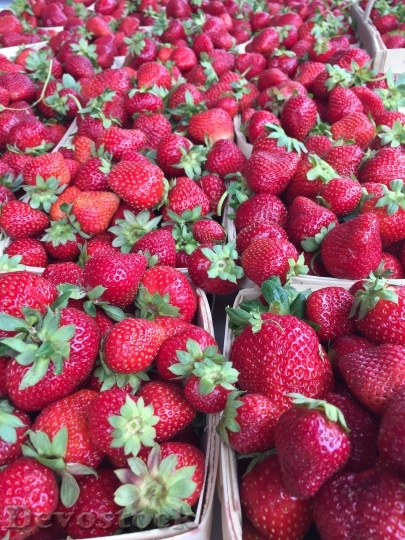 Devostock Strawberries Farmers Market Fruit