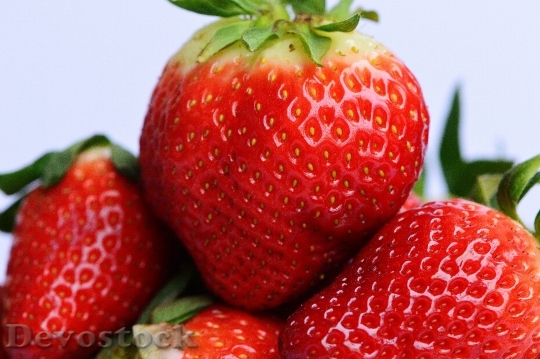 Devostock Strawberries Fruit Close Fruits 12