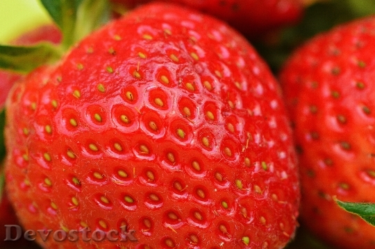 Devostock Strawberries Fruit Close Fruits 28