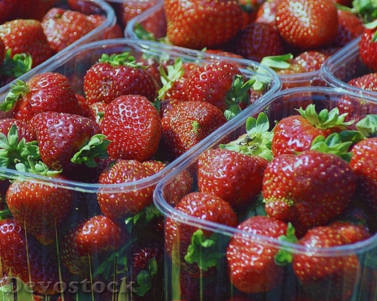Devostock Strawberries Fruit Eating Dessert