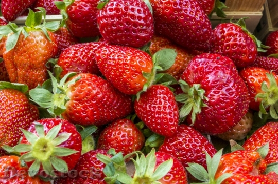 Devostock Strawberries Fruit Fruits Red 3
