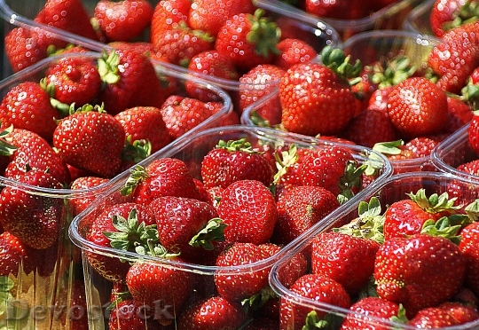 Devostock Strawberries Fruit Mature 502650