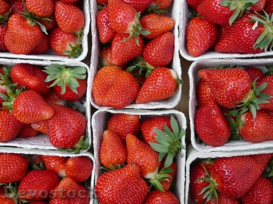 Devostock Strawberries Fruit Red Tasty