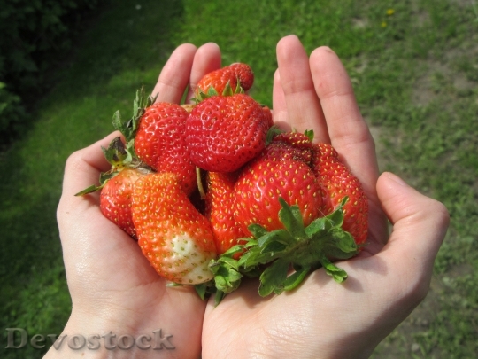 Devostock Strawberries Hands Fruit Fresh
