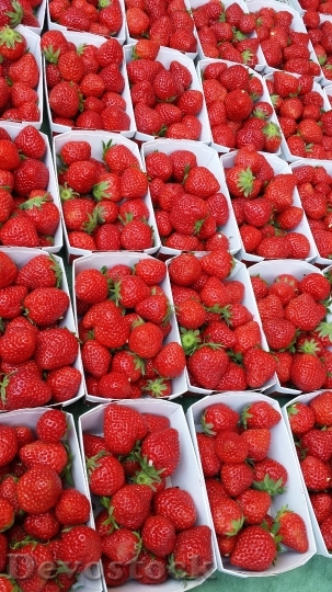 Devostock Strawberries Market Fruit Red