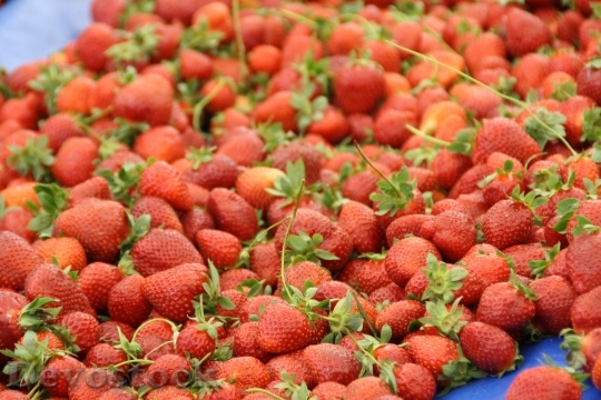 Devostock Strawberries Red Berries Fruits