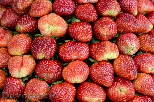 Devostock Strawberries Red Dalat Vietnam 0