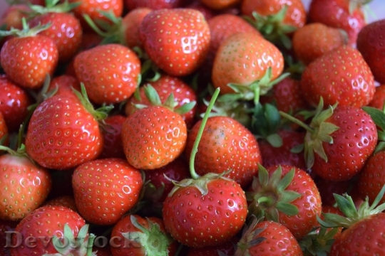 Devostock Strawberries Red Delicious Fruits