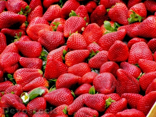 Devostock Strawberries Red Fruit 99551