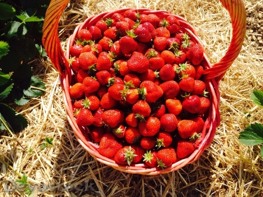 Devostock Strawberries Red Fruits Basket