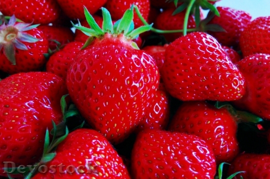 Devostock Strawberries Red Summer Fruit