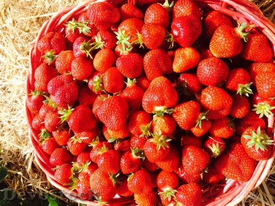Devostock Strawberries Red Sweet Delicious
