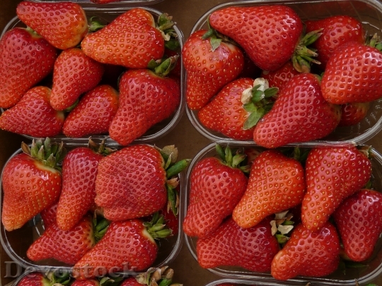 Devostock Strawberries Strawberry Berry Fruit 0