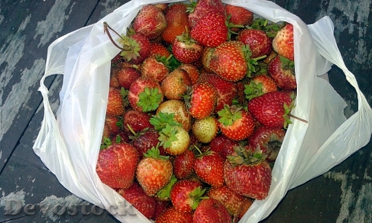 Devostock Strawberries Summer Autumn 1266276