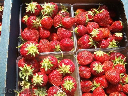 Devostock Strawberries Summer Red Fruit