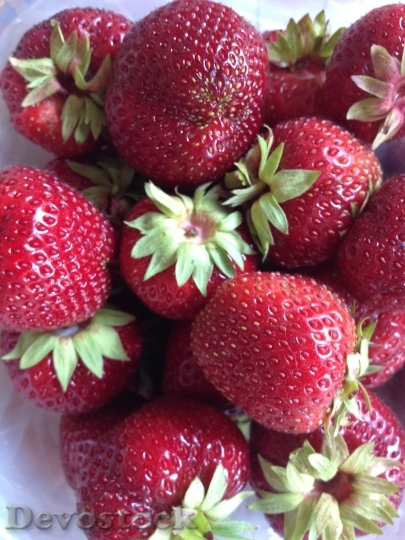Devostock Strawberries Summer Sweet 1000596