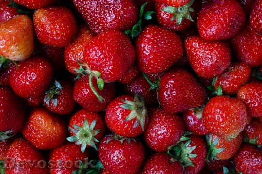 Devostock Strawberry Berry Plant 1428869