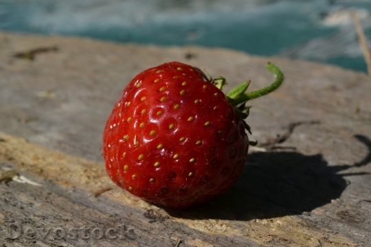 Devostock Strawberry Bio Fruit Ripe