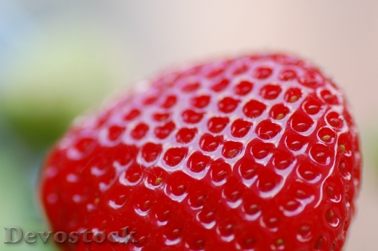 Devostock Strawberry Close Food Macro