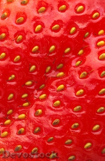 Devostock Strawberry Close Up