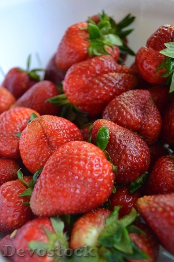 Devostock Strawberry Farm Fresh Organic 0
