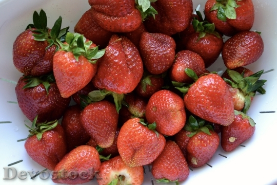 Devostock Strawberry Farm Fresh Organic