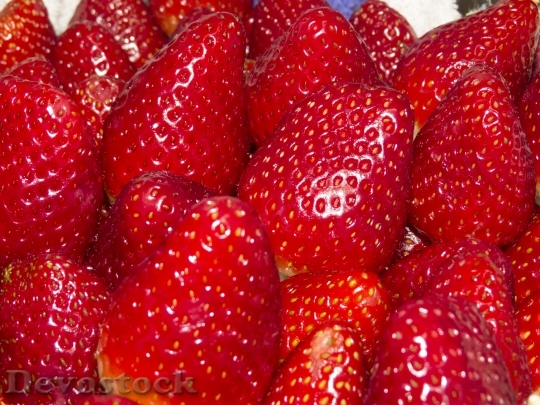 Devostock Strawberry Fruit Macro Delight 0
