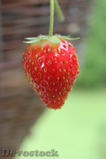 Devostock Strawberry Fruits Red Nutrition