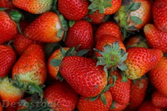 Devostock Strawberry Gallery Fruit Red